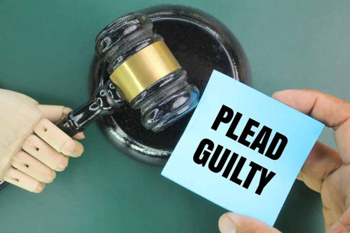 Wooden hand holding gavel, note reads Plead Guilty.