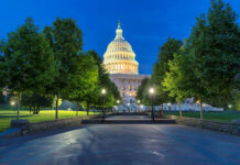 The Capitol building in Washington D.C. illuminated at night surrounded by trees