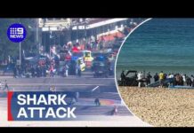 Bloodied Water Stuns POPULAR BEACH Woman fighting for life after Sydney shark attack | 9 News Australia