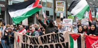 Crowd of protesters holding banners and flags during a demonstration for Palestine