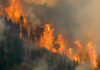 Toxic Haze Blankets 100 Million Forest engulfed in large, intense wildfire blaze.