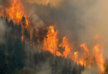 Toxic Haze Blankets 100 Million Forest engulfed in large, intense wildfire blaze.
