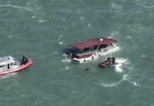 Seagull Swarm, Cold Bay — Dog Vanishes 12 Days 1 killed, 2 missing after boat sinks in San Francisco Bay; rescue underway