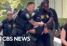 Federal Plaza Inferno Plot Exposed Suspect arrested in explosion outside NYC federal building was anti-ICE, sources say
