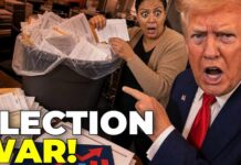 Trump Just Demanded Photo ID as 81 Hempstead Ballots Surfaced in a Trash Can. Long Island